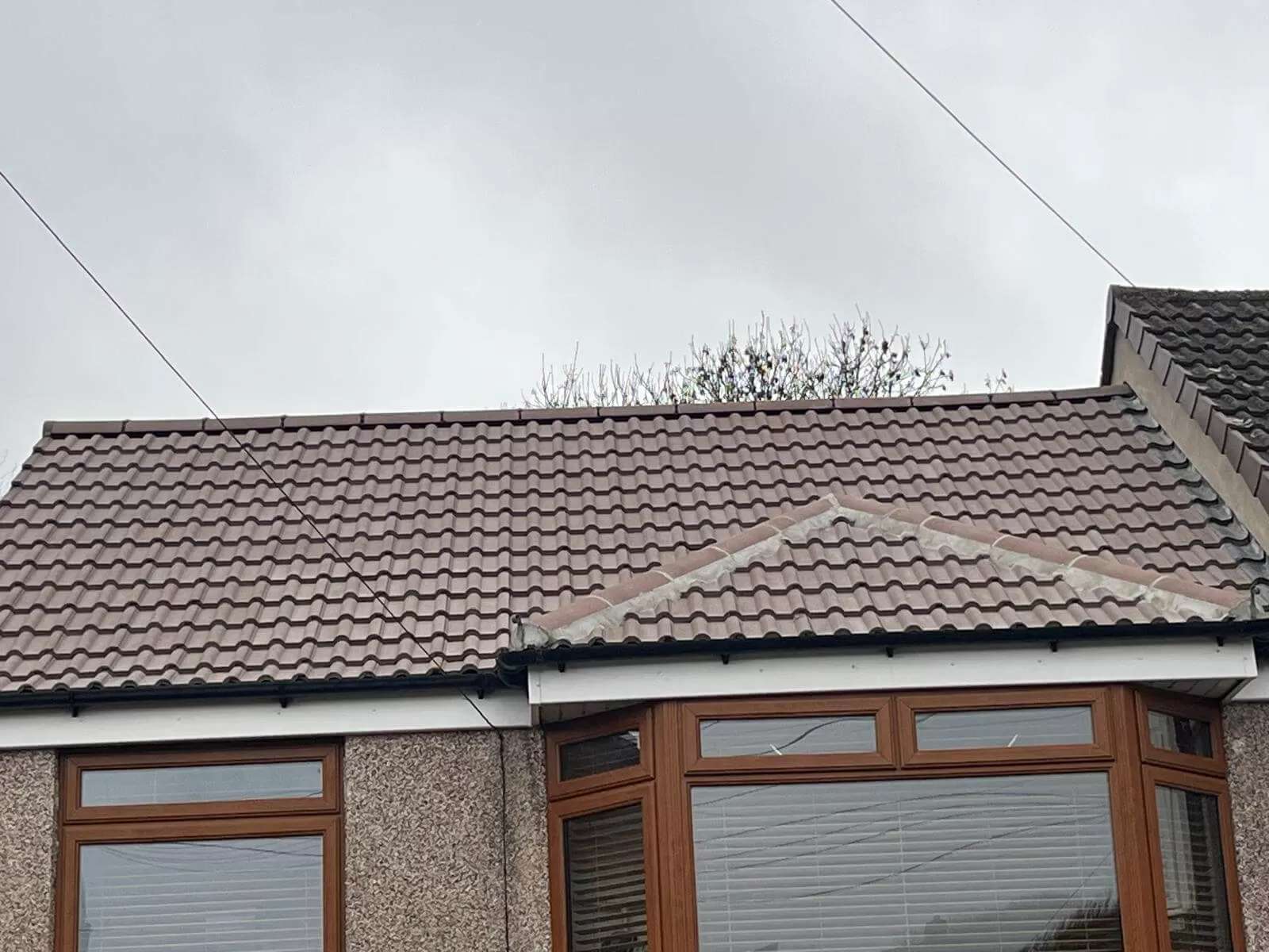 New Roof Pointing